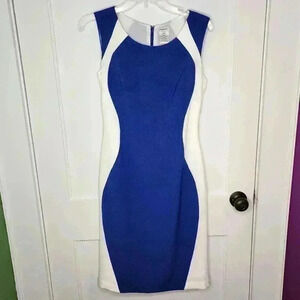 J Peterman Size 4 Blue / White Colorblock Hourglass Slimming Illusion Dress